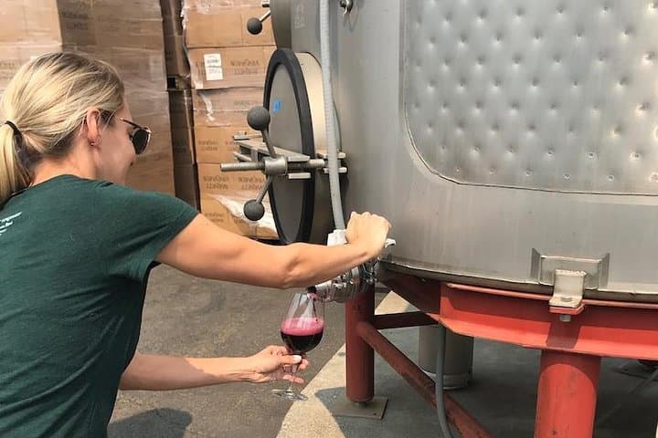 Wine Tour Pros – Wine Tour and Transportation: SUV Up To 6 Guests