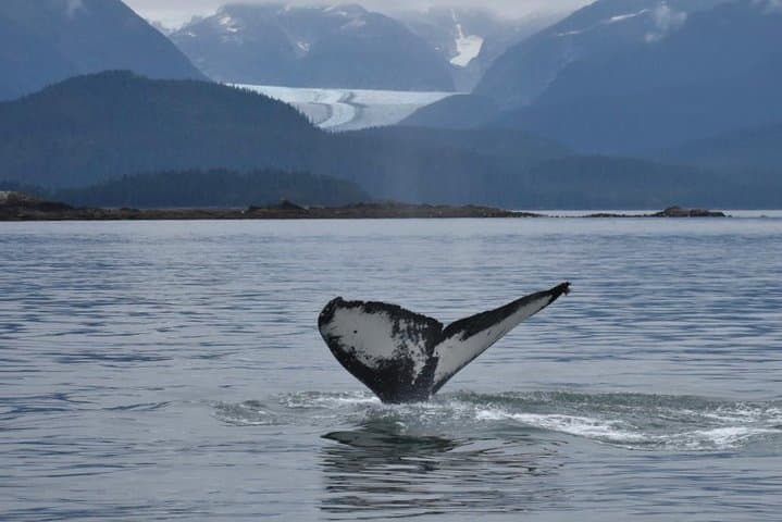 Juneau by Land & Sea