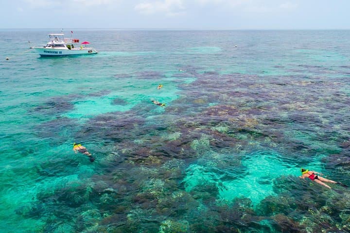 Key Largo Snorkeling Tour – rental mask, fins and vest INCLUDED