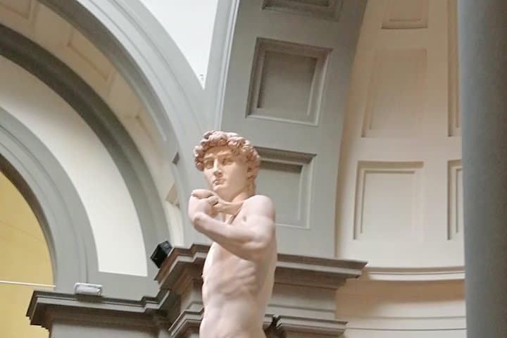 Florence: 1-hour Accademia Gallery guided experience with entrance tickets