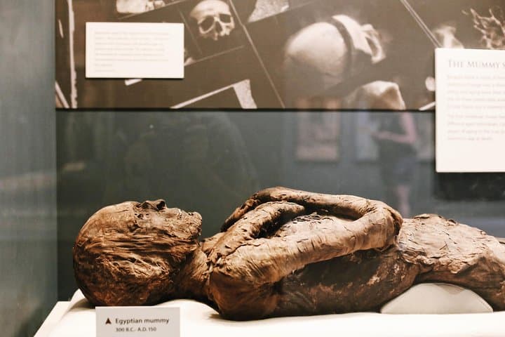 Smithsonian Museum of Natural History – Exclusive Guided Tour