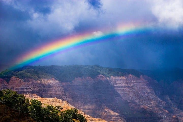 Kauai: Waimea Canyon and Koke’e Tour