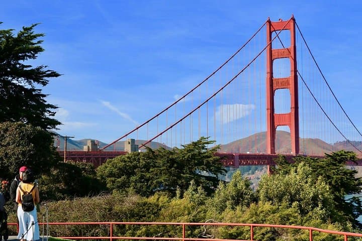From San Francisco: Muir Woods Tour and Hop-on Hop-off City Tour