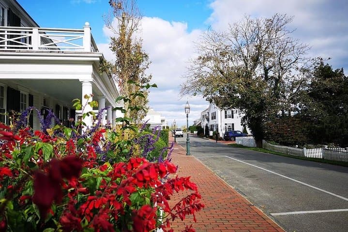 #1 Best 3hr Martha’s Vineyard shared Island Tour from Oak Bluffs