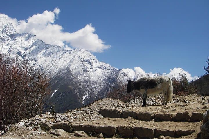 Everest Base Camp – Cho La Pass – Gokyo Trek
