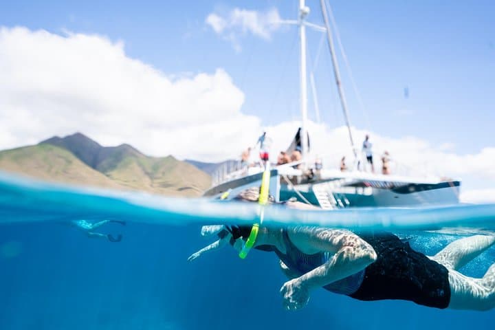 Lahaina Maui Sea Turtle Snorkel Sail Adventure w/Lunch & Open Bar