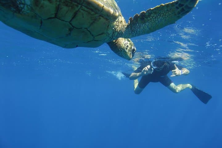 Kauai’s Ultimate South Island Zodiac Boat Snorkel Adventure