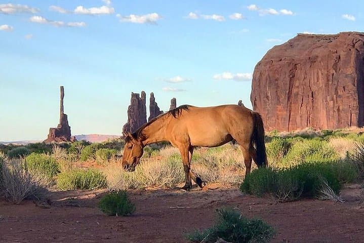 Monument Valley Group Tour – 3 Hours – Navajo Spirit Tours