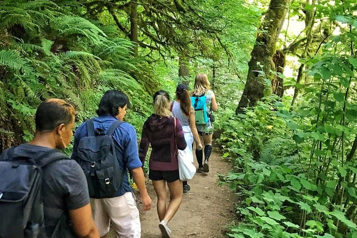 Forest Park Urban Hiking Tour, Portland