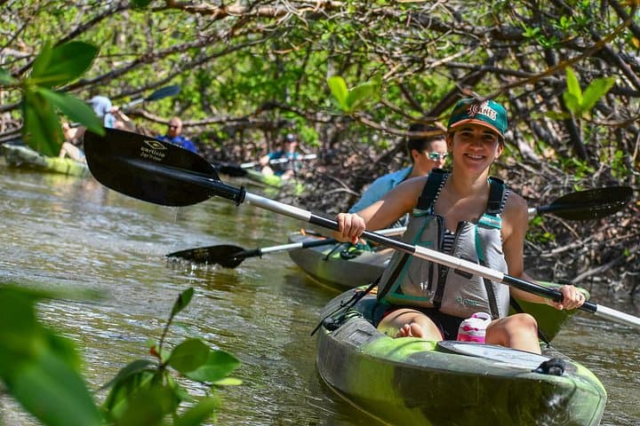 Mangrove Tunnels & Mudflats Kayak Tour – Local Biologist Guides