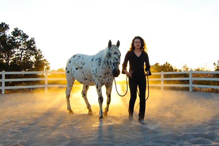 Leadership & Mindfulness Retreat with Horses – Individual & Group