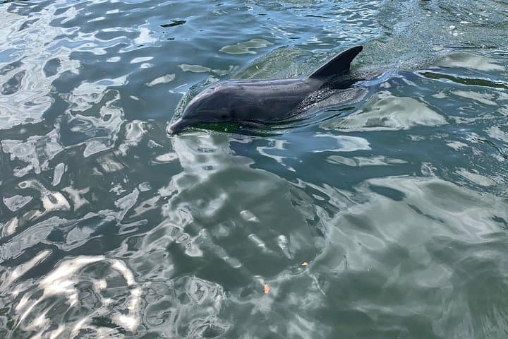 Small Group Florida Keys Eco Tour by Boat