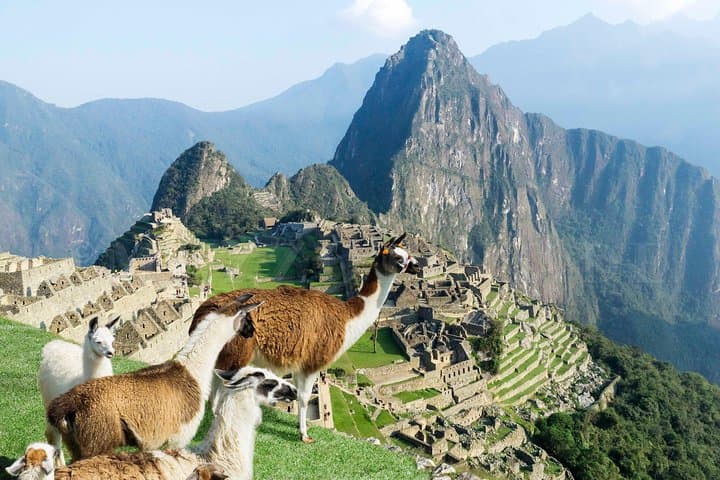 Excursion to Machu Picchu from Cusco full day – Private Service