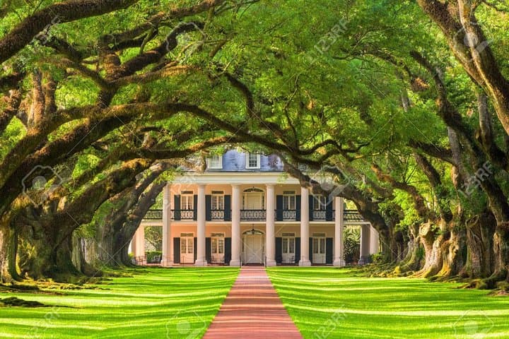 Oak Alley Plantation and Airboat Combo Tour by Bus