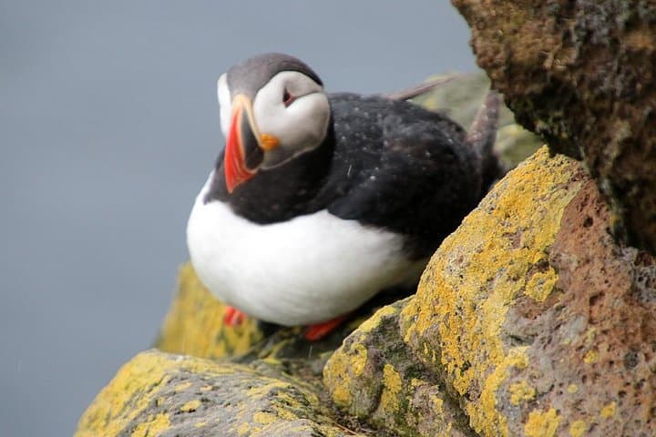 The Great Round Tour: Around Iceland in 13 Days – Small Group