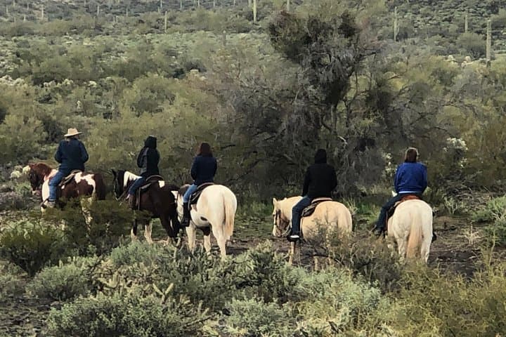 Contact us to book your time. Best Trail Rides in Arizona.