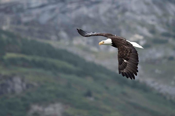 Exclusive Photography Tour to Haines – Skagway Departure