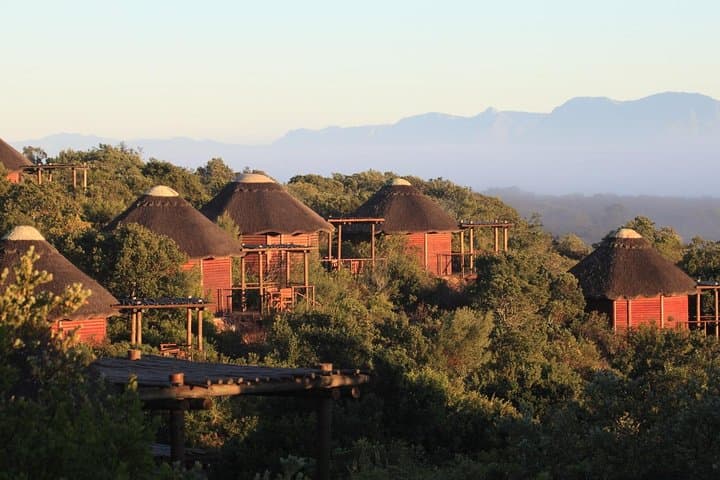 2 Day Safari Experience from Cape Town