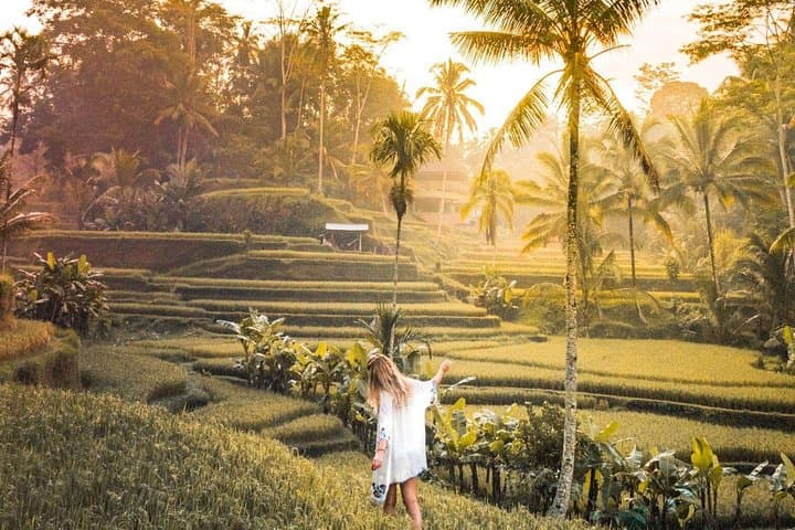 Bali Ubud private Tour with Ubud Bali Driver – FREE WIFI