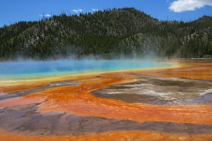 Yellowstone National Park – PRIVATE Full-Day Lower Loop Tour from W. Yellowstone
