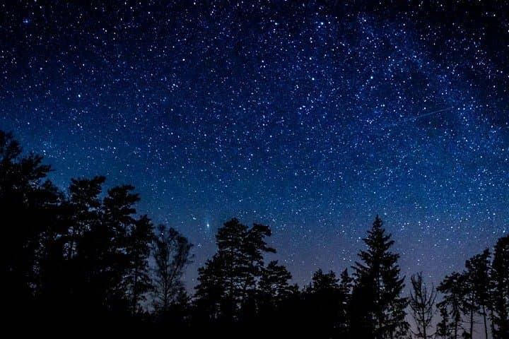 Private Stargazing – Sequoia National Park