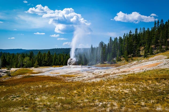 Yellowstone Full Day Private Tour & Hike – Pickup from Gardiner