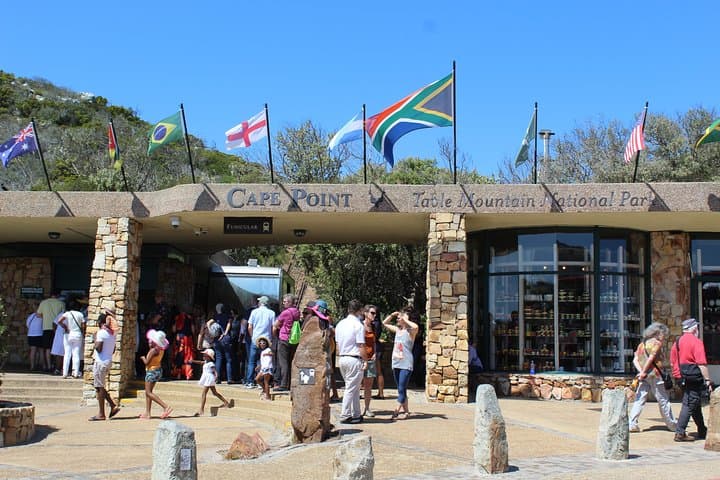 Full Day visit to Cape Point Cape of Good Hope for Special needs from Cape Town
