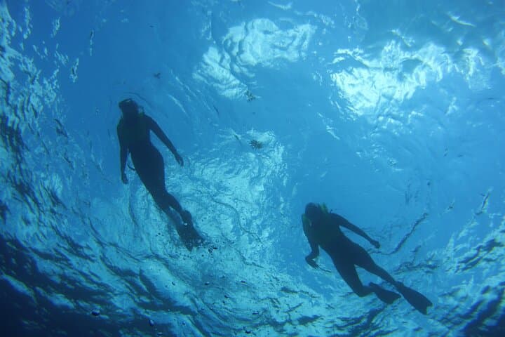 Private Snorkel to Key Largo Reef for up to 12 – INCLUDES GEAR!