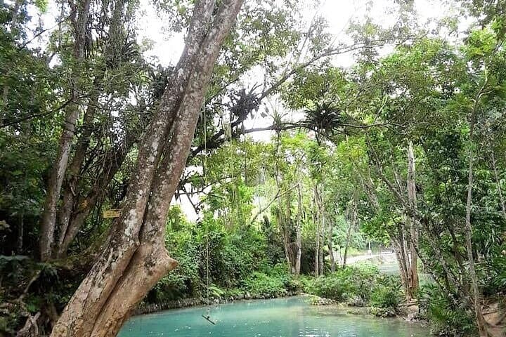 Dunn’s Falls and Blue Hole Daytrip with Lunch from Montego Bay & Trelawny