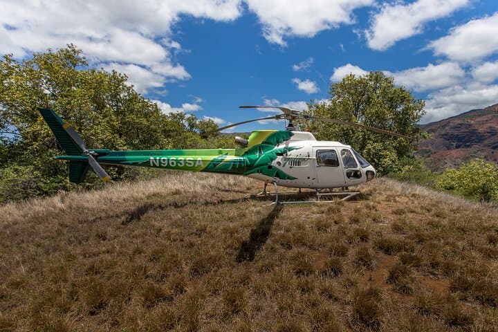 Kauai’ Exclusive Helicopter Tour: JURASSIC CANYON LANDING