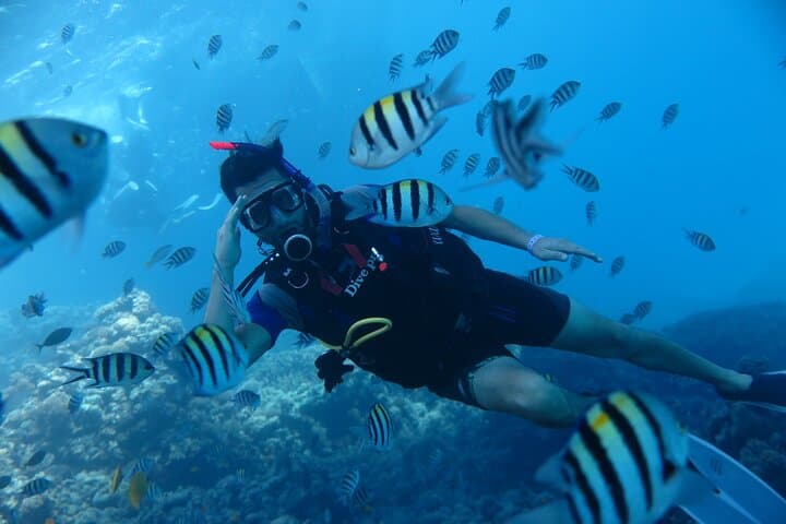 Intro Diving 2 Stops For Beginners with Pick-up and Lunch – Hurghada