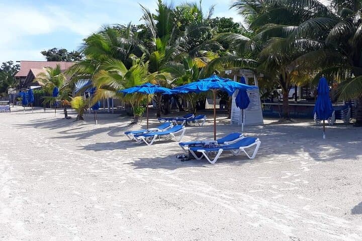 Negril 7 Miles Beach and Rick’s Cafe Tour
