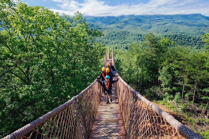 Mountaintop Zipline 2-Hours Activity