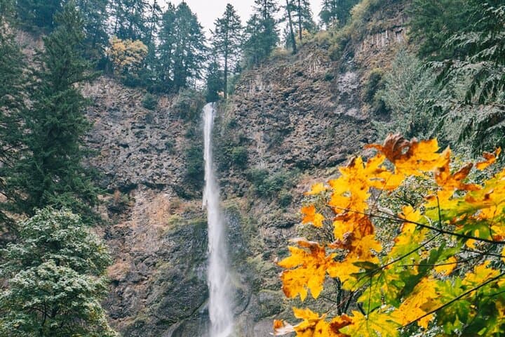 Portland Sightseeing Tour Including Columbia Gorge Waterfalls