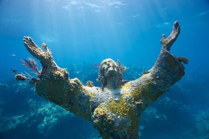 Snorkel Tour – Visit 2 Shallow Reefs John Pennekamp State Park