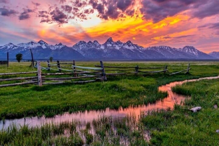 Grand Teton Wildlife Safari in a Enclosed or Open-Air Vehicle (season dependent)