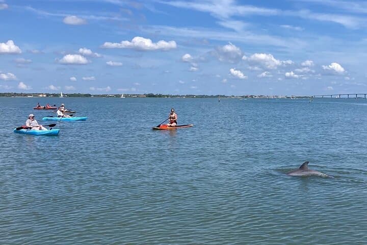 Kayak Rentals