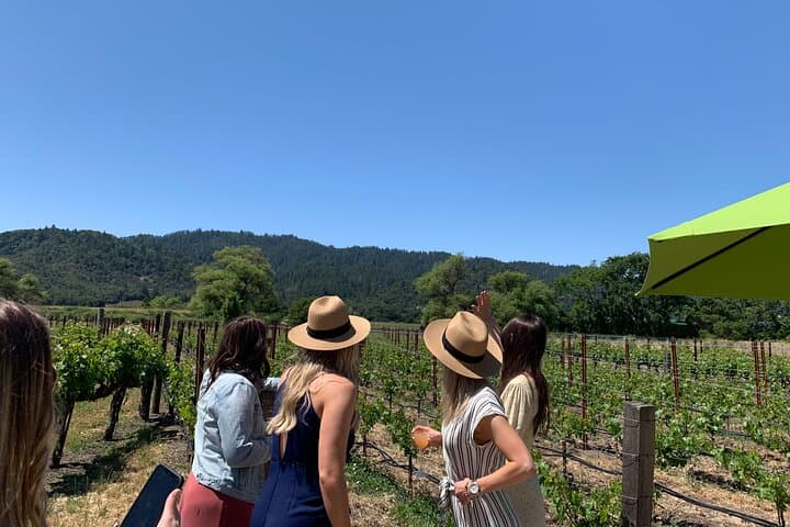 Wine Tour Pros – Napa Wine Tour: SUV Up To 6 Guests
