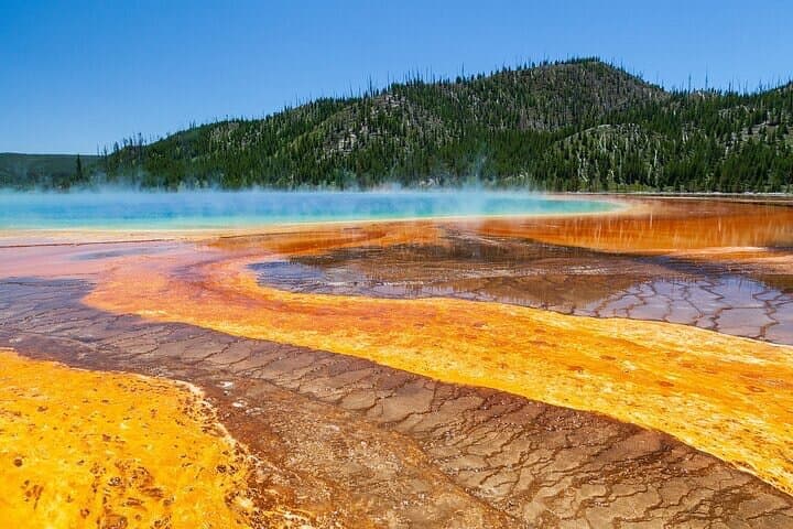 Best of Yellowstone Nat’l Park from W Yellowstone – Private Tour