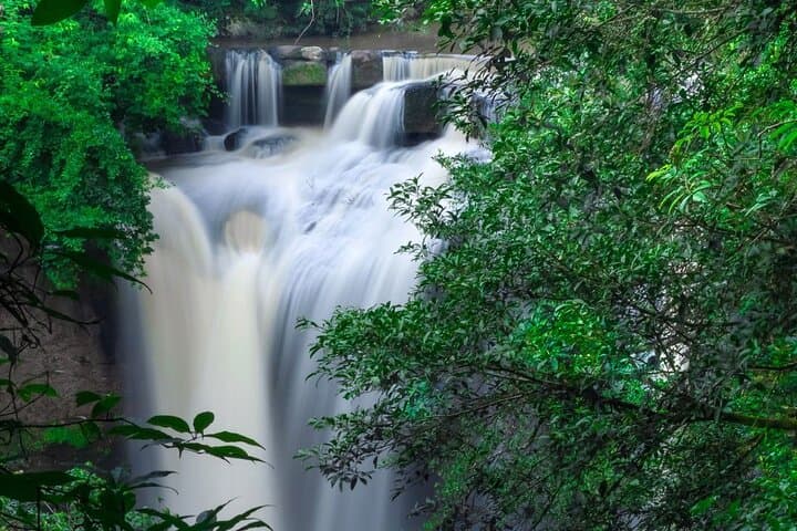 Khao Yai National Park Full-Day From Bangkok – Including Ticket
