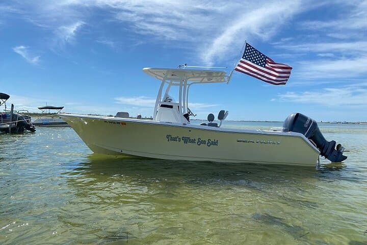 Madeira Beach – Shell Key – Dolphins – Half Day Private Boat Tour