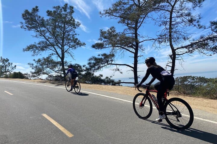 Road Bike Ride – designed for serious cyclists