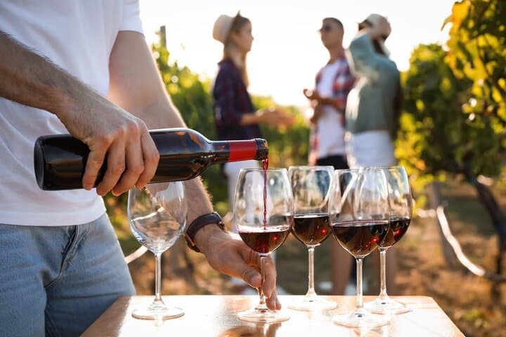 Private Cultural Wine Journey from Atlanta