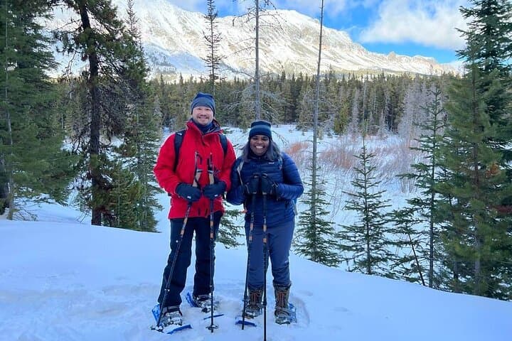 Glacier National Park–Driving Tour PLUS Snowshoe Trek (5-6 hours)
