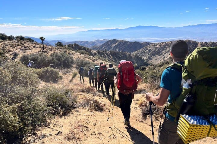 Private-36 Hour Adventure in Joshua Tree National Park