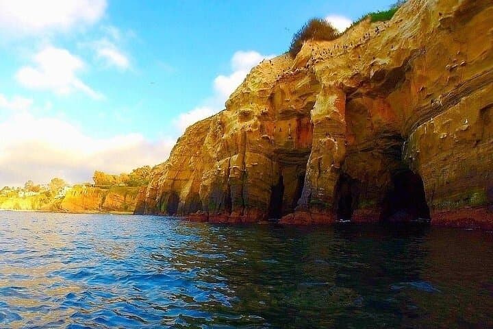 La Jolla Sea Caves Kayak Tour (Single Kayak)