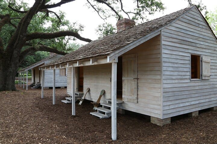 Full Day Plantation and Swamp Tour in New Orleans
