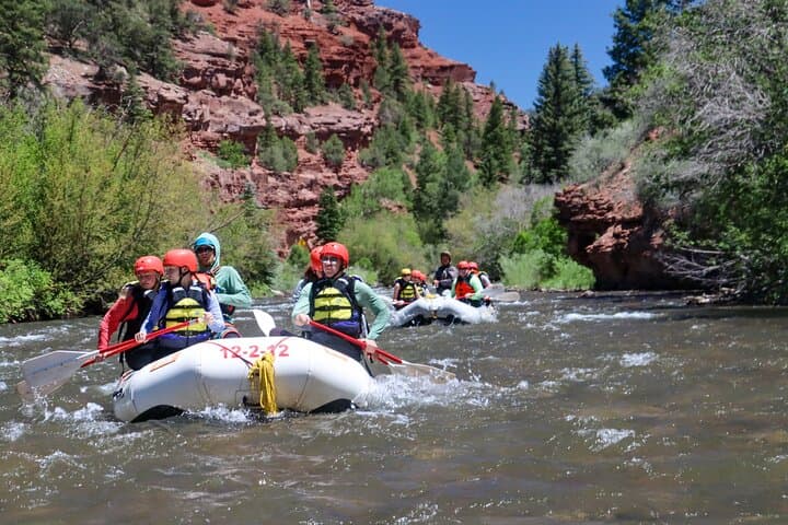 Telluride Morning Half Day Rafting Trip – San Miguel River