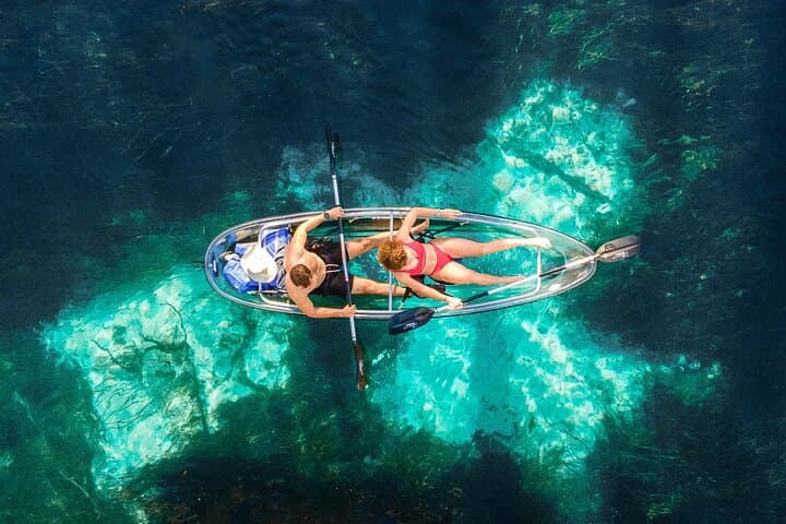 Silver Springs: Clear Kayak Wildlife Adventure