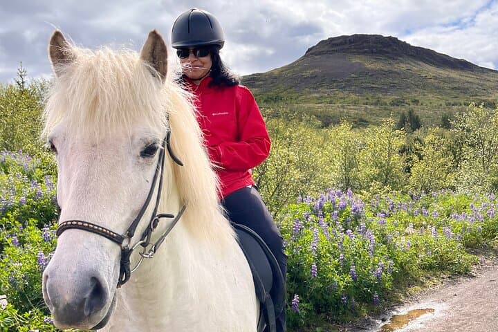 2 hours Private Horse Riding to Lake Hafravatn, Reykjavík – Mos